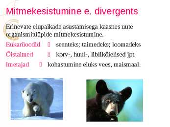 Makroevolutsioon #4