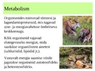 metabolismi esitlus 11 klassi bioloogia #2