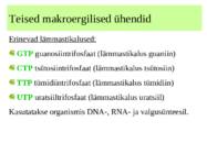metabolismi esitlus 11 klassi bioloogia #12