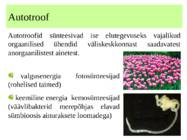 metabolismi esitlus 11 klassi bioloogia #3