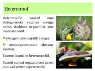metabolismi esitlus 11 klassi bioloogia #4