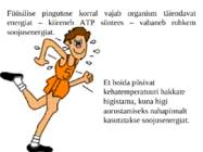 metabolismi esitlus 11 klassi bioloogia #7