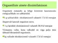 metabolismi esitlus 11 klassi bioloogia #8