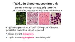 Ontogenees – organismi individuaalne areng viljastumisest surmani #11