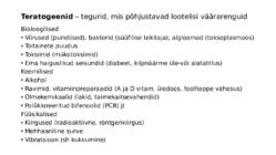 Ontogenees – organismi individuaalne areng viljastumisest surmani #14