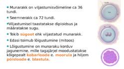 Ontogenees – organismi individuaalne areng viljastumisest surmani #4