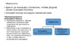 Ontogenees – organismi individuaalne areng viljastumisest surmani #5