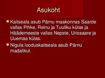 Nigula looduskaitseala #2