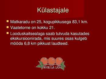 Nigula looduskaitseala #11