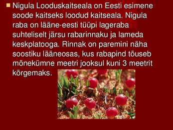 Nigula looduskaitseala #4