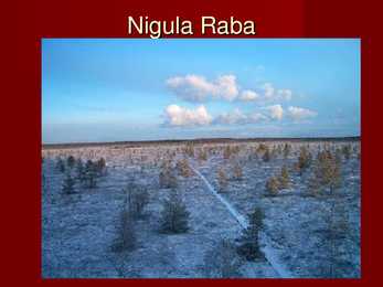 Nigula looduskaitseala #6