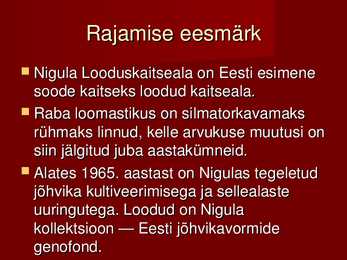 Nigula looduskaitseala #7