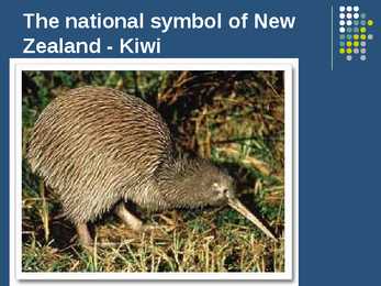 New Zealand #9