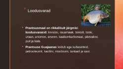 Prantsusmaa #13