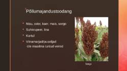 Prantsusmaa #23