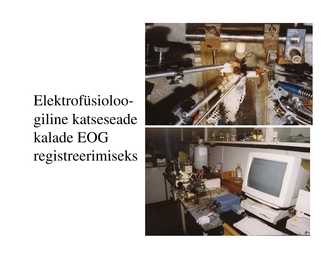 Veekogude toksikoloogia #62