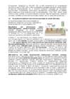 Kordamisküsimused immunoloogia #13