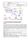 Kordamisküsimused immunoloogia #16
