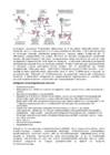 Kordamisküsimused immunoloogia #18