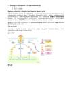 Kordamisküsimused immunoloogia #46