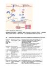 Kordamisküsimused immunoloogia #47