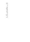 VK-21 Exceli teine hindeline #6