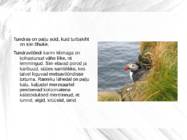 Tundravöönd #3