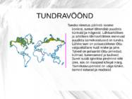 Tundravöönd