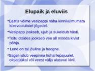 Vesipapp #5