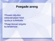 Vesipapp #8