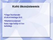 Vesipapp #9