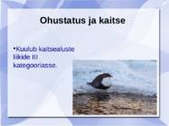 Vesipapp #10