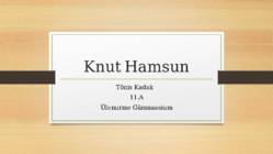 Knutike