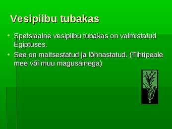Vesipiip #7