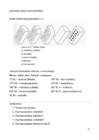 EHITUSMATERJALID-04 11 13 #79