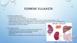 Lastehaigused I #4