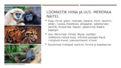 Niiske lähistroopika Jana ja Lauren #16