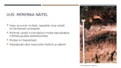 Niiske lähistroopika Jana ja Lauren #18