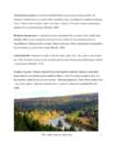 Maailma metsad-Venemaa #5