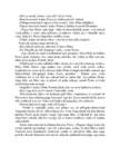 tammsaare tode ja oigus i-9789949919925 #297
