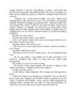 tammsaare tode ja oigus i-9789949919925 #304