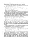 tammsaare tode ja oigus i-9789949919925 #338