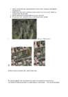 Geograafia-maa-amet