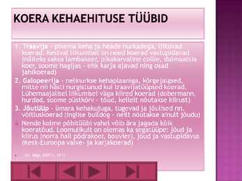 Koer #6