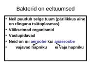 Viirused - esitlus #3
