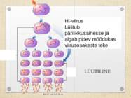 Joonised bakteritest-viirustest-algloomdest #11