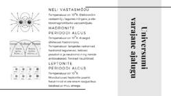 Suure Paugu teooria ning selle füüsikalised alused #7