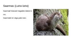 Soo loomad ja taimed #19