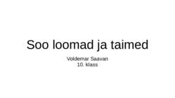 Soo loomad ja taimed
