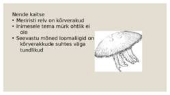 meririst #8